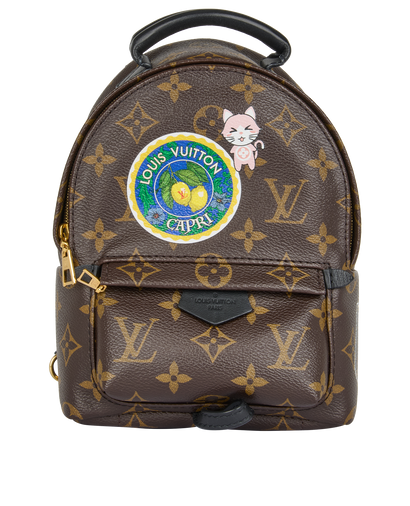 Mini Palm Springs Backpack, front view